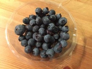 2016-07-13_blueberry
